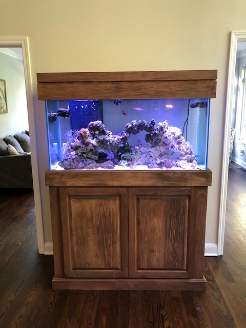 custom aquarium stand and canopy