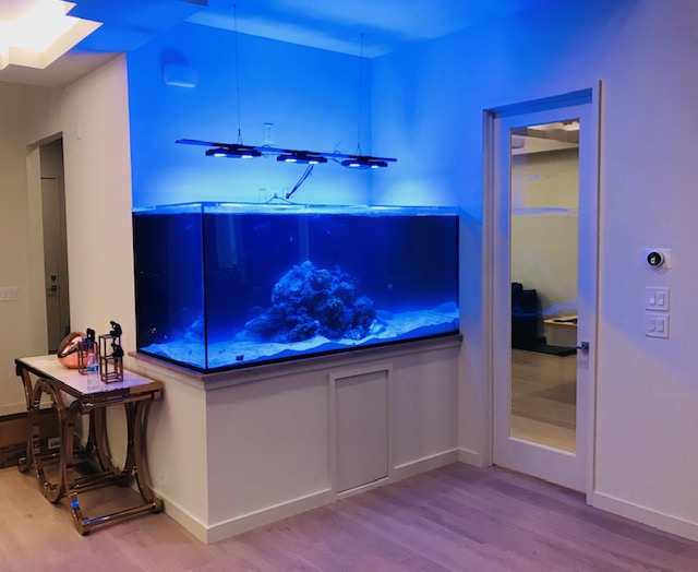 Aquatic Technology Aquarium Maintenance