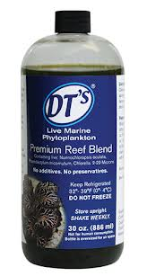 DT's phytoplankton
