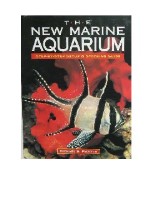 The New Marine Aquarium